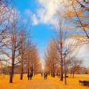 별가람중학교 이미지