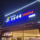 도안남로 이미지