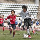 제주동초등학교 이미지