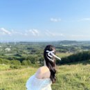 케이(K) - 헤어샵 | 제주도 야외 웨딩스냅 촬영 후기 및 정리1 - 케이살롱(드레스 헤어 메이크업)