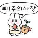 용농장 이미지
