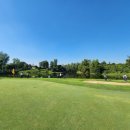 파고다골프 - 고령군 산막길 47-80 | 파고다골프