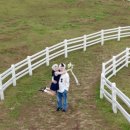 삼일목장 | 셀프 웨딩스냅 3탄｜직접 해보고 알게 된 셀프 스냅 장단점 &amp; 촬영 후기 총정리 (다음엔 이렇게 할 듯!)