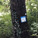 구엄올레 이미지