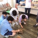 안산밀알센터 이미지