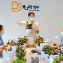 나무원예 이미지