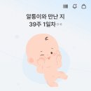 행운추어탕 | 임신 기록 EP. 04 : 임신 후기편 (2) (34주 ~ 39주차 / 산후도우미 신청 / 출산가방 / 막달검사)
