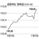 바이든發 약달러 타고 외국인 투자자 "Buy Korea" 이미지