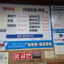 짱아네모밀기계우동