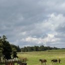 미동목장 이미지