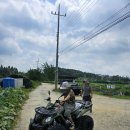 성남농장 | 농업용오토바이 추천｜카요 au200+atv 트레일러 경기도 성남시 여수동 농장 납품 후기