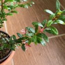 긴뿌리농장 이미지