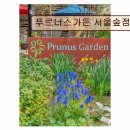 푸르너스가든 | <성수동 카페 추천> 푸르너스가든 서울숲점 커피와 디저트 균형 잡힌 맛집