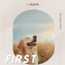 아마레펫 이미지