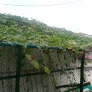 영등포구 신길4동주민센터 이미지