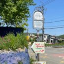 빈티지경주 이미지