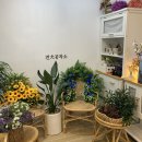 견공작소 이미지