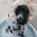 마이리틀멍 이미지