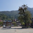 금산 인삼축제 & 명 사찰 답사 이미지