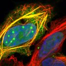 Power to bell 이미지