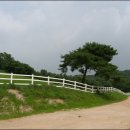 풀잎목장 이미지