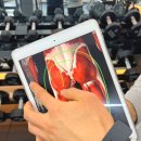 올타임피트니스 조대점 | [파주 운정 헬스장] 본피트니스 - 운정 개인 1:1 피티 운정 남자 PT 추천 (6~8회차 후기)