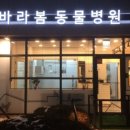 바라봄동물병원 이미지