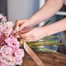 빌리지독 이미지