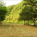 솔밭쉼터 이미지