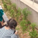 중산어린이집 이미지