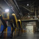 현대자동차서비스 앞 이미지