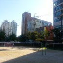 네톡