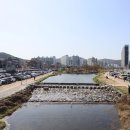 22/04/07 광주 시내 풍경 - 경안동 구제 특화 거리 이미지