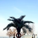 상일농장 이미지