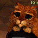 장화신은고양이 이미지