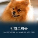 감일로약국 이미지