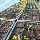 순익농장 이미지