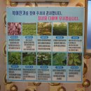 복어찬가 이미지