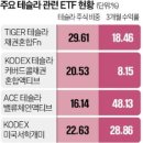 &#34;진작 살 걸&#34; 머스크 덕에 40% 폭등…연금계좌 대박 터졌다. 이미지