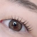 벨뷰티(BELLE BEAUTY)