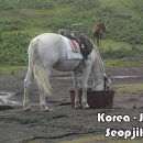 바이크하우스 이미지