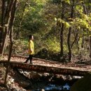 힐리언스 이미지