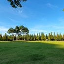 수성패밀리파크 Daum카페