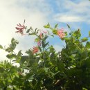 신매경로당 이미지