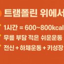 점핑앤체온다이어트