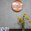 왕초보 바이올린 이미지