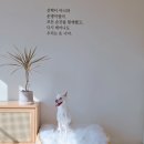 참좋은애견미용실 이미지