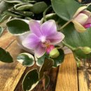 부산과학기술대학교 민속자료실 박물관 이미지