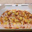 고피자 - 12495 | 고피자