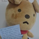 필라트니스 이미지